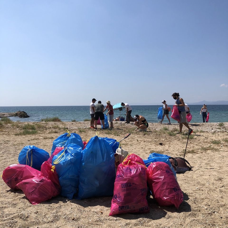 Volunteers collect litter along the Chania coast.