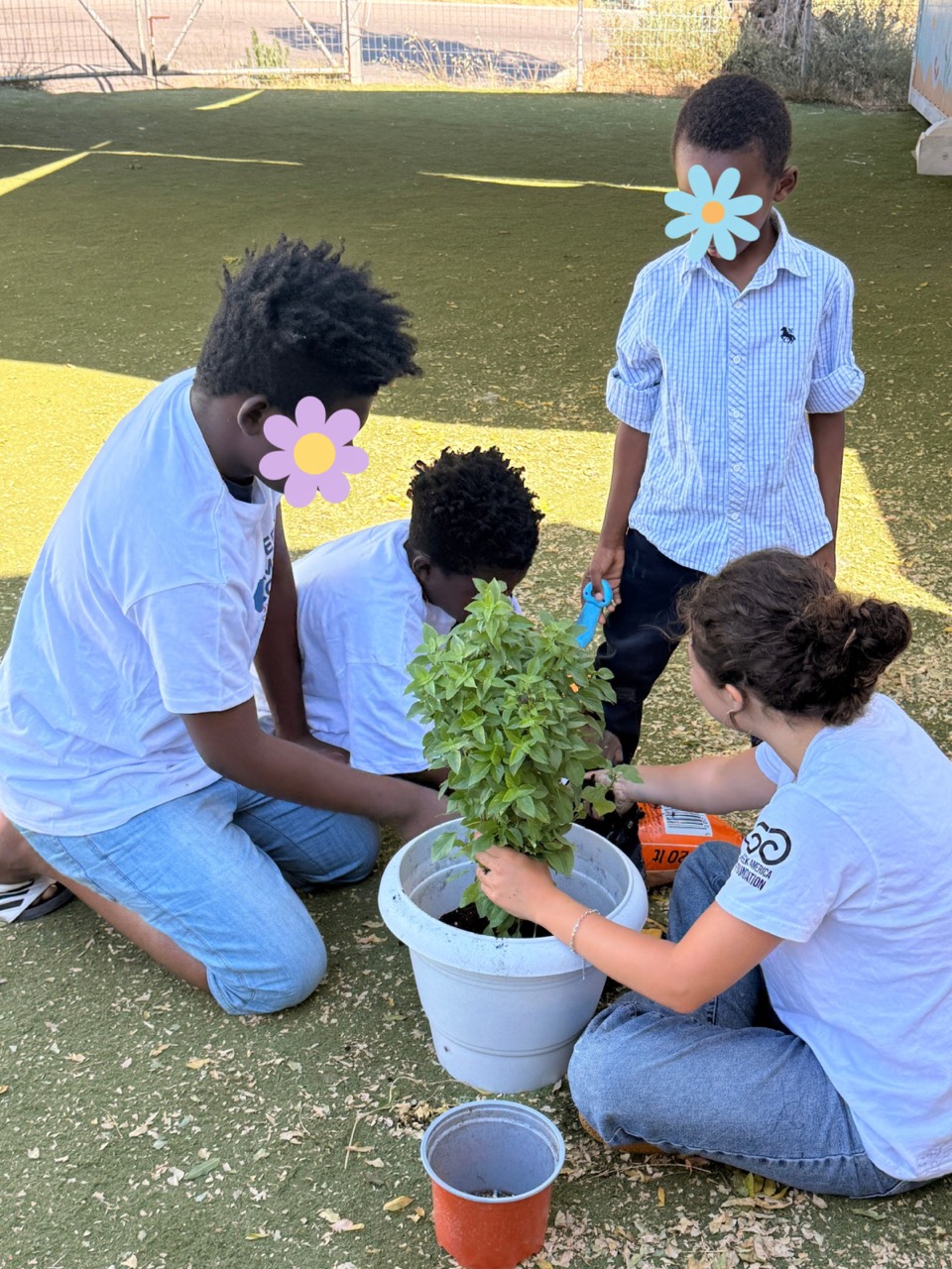 A volunteer and children position an herb plant in a pot.